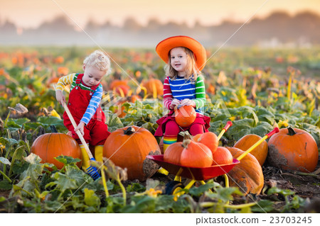 Kids picking pumpkins on Halloween pumpkin patch 23703245