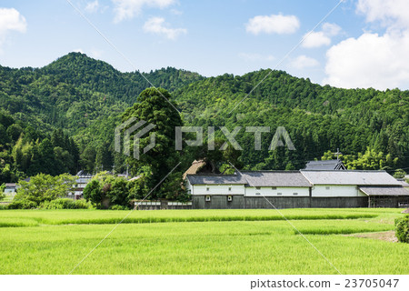 農村夏天風景 23705047