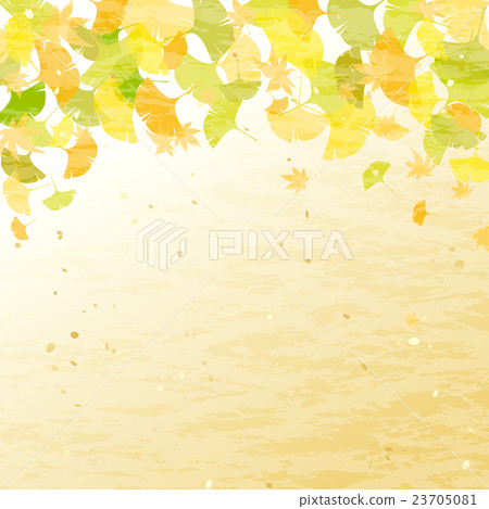 Ginkgo background Ginkgo background 23705081