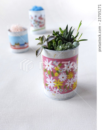 Succulents in remake cans Succulents in remake cans 23705271