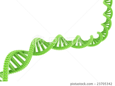 DNA green 23705342