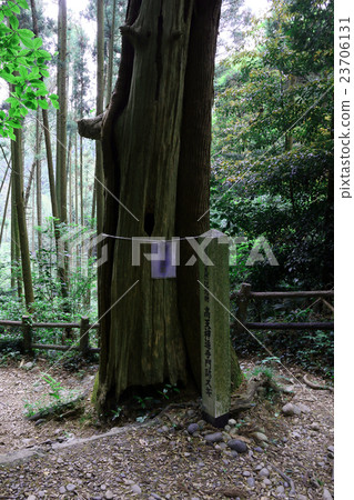 高天神城遺址 高天神城遺址 23706131