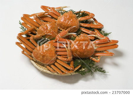 Crab 23707000