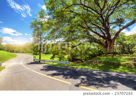 nature trails nature trails 23707283