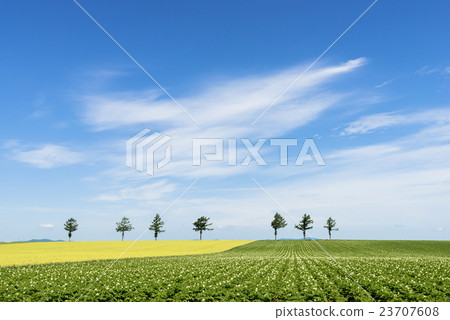 大通鎮的童話故事 大通鎮的童話故事 23707608