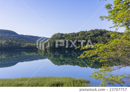 夏天Onnato 23707757