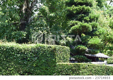 Samurai residence ruins Atsuhime location site 23714933