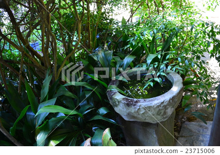 武士住宅遺址Atsuhime位置站點 23715006