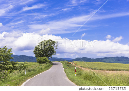 Countryside scenery of Biei-cho Panorama Road 23715785