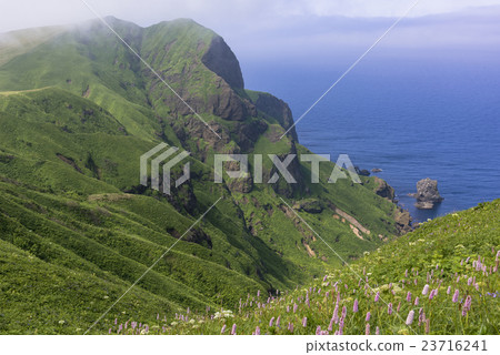 Momoiwa walking trail of Rebun Island 23716241