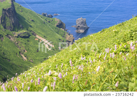 禮文島Momoiwa步行道 23716242