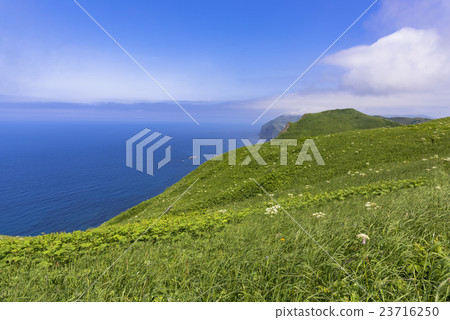 Momoiwa walking trail of Rebun Island Momoiwa walking trail of Rebun Island 23716250
