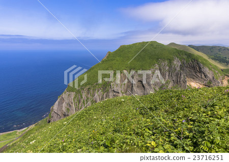 Momoiwa walking trail of Rebun Island 23716251