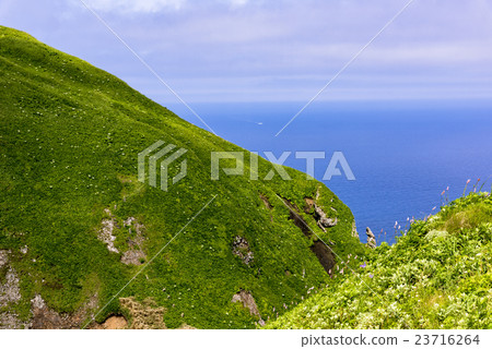 禮文島Momoiwa步行道 禮文島Momoiwa步行道 23716264