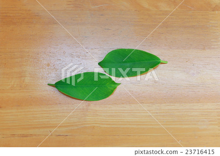 Leaf texture pattern on the wood background 23716415