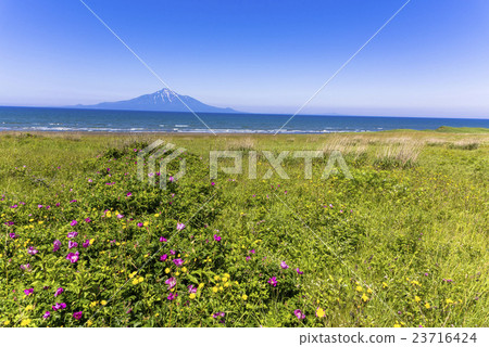 From Sarobetsu wildlife Rishiriyama 23716424