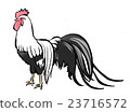 雞 23716572