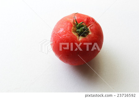 冷西紅柿很好 23716592