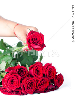 bouquet of roses bouquet of roses 23717993