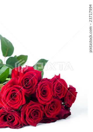 bouquet of roses on a white background bouquet of roses on a white background 23717994
