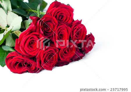 bouquet of roses on a white background 23717995