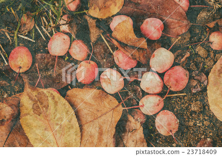 Grunge autumn background 23718409