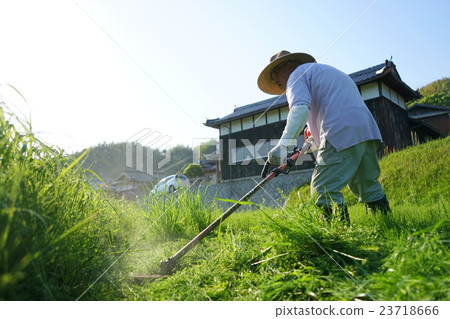 老人用剪草機農業祖父奶奶農民種植 23718666