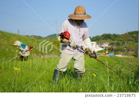 老人用剪草機農業祖父奶奶農民種植 23718675