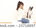 Boston Terrier Stethoscope 23718897