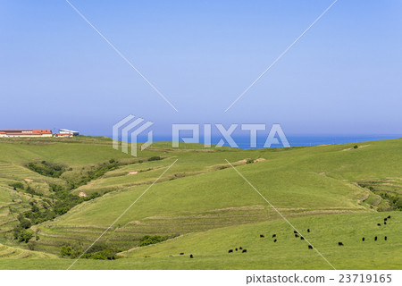 Sanya Hill's Ranch 23719165