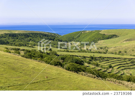 Sanya Hill's Ranch 23719166