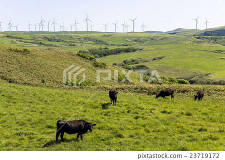 Sanya Hill's Ranch Sanya Hill's Ranch 23719172