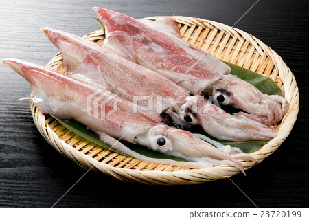 Kenzakika Kenzakika 23720199