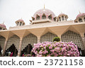 Pink Mosque 23721158