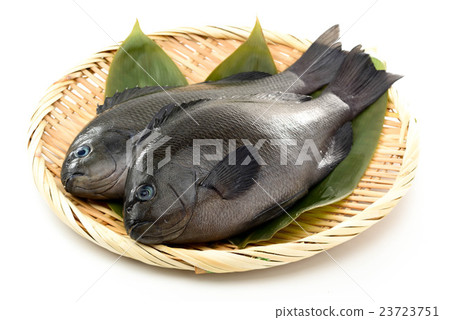 Medina Medina 23723751