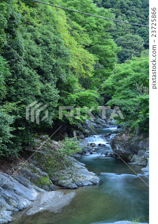 Ikeda-shi Iino-gawa Ikeda-shi Iino-gawa 23725866