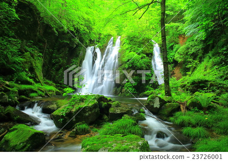 Tono Summer的藤澤溪流 23726001