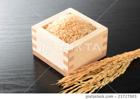 糙米 23727803