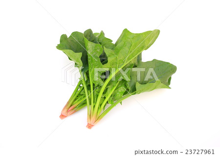 spinach  23727961
