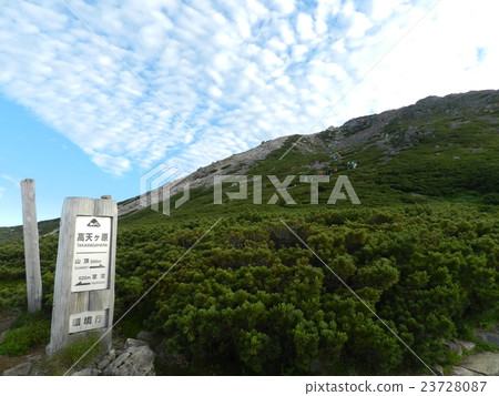 夏白山 夏白山 23728087