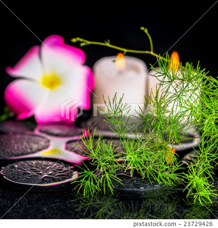 beautiful spa concept of green branch Asparagus 23729426