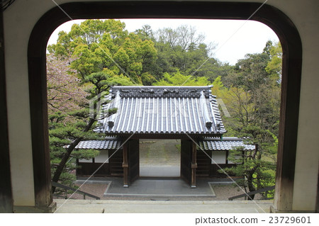 瑞應寺 瑞應寺 23729601