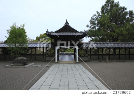 瑞應寺 瑞應寺 23729602