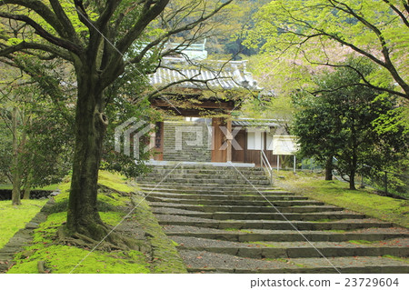 Ruisuji Ruisuji 23729604