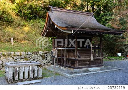 Hiyoshi Taisha Higotoimoto Miya神社神社·Kamei Reihi（2016.4） 23729639