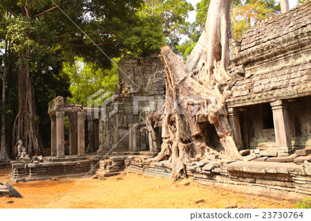 uins of temple in Angkor Wat complex, Siem Reap 23730764