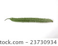 Satsuma Odori Rei·Long goya 23730934