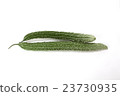 Satsuma Odori Rei·Long goya 23730935