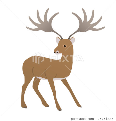 Okinoshino Oketsunoshika Okinoshino Oketsunoshika 23731227