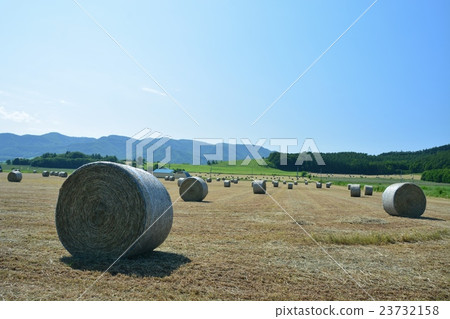 北海道景觀草卷 北海道景觀草卷 23732158